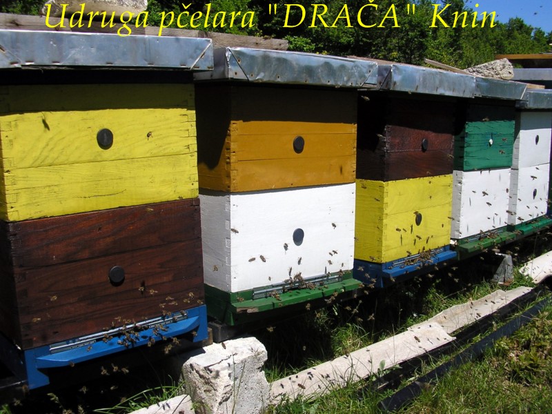 UP_Draca_Knin (8)